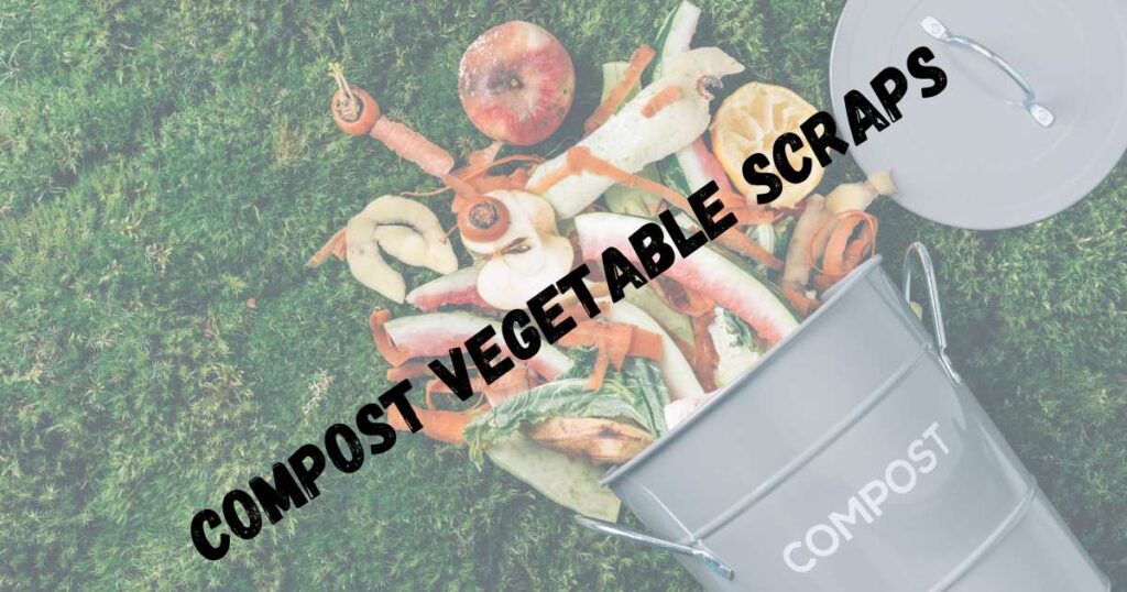 Compost vegetable scraps